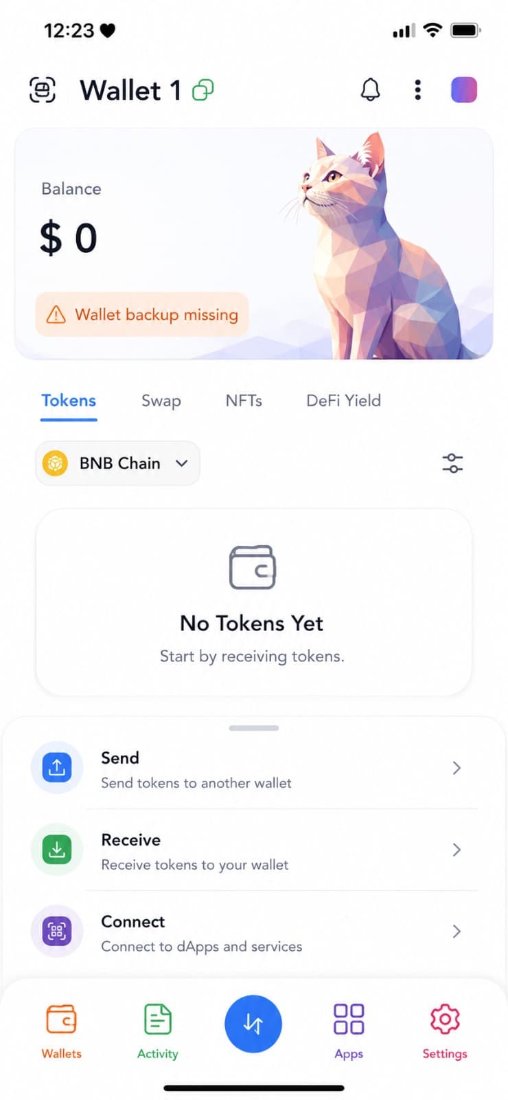 Multi-chain asset management